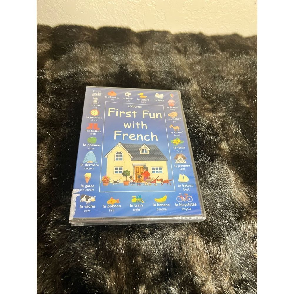 Usborne first fun with French Dvd new